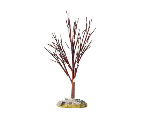 Winter Elm Medium