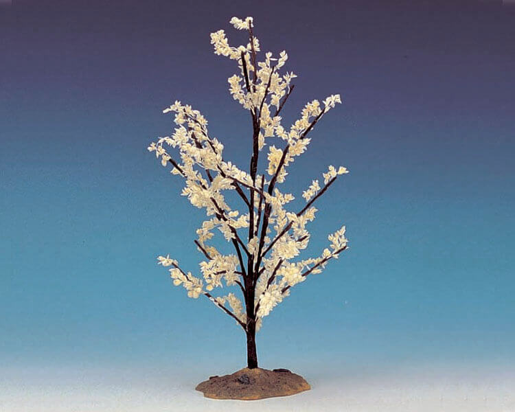 Flowering Magnolia Large