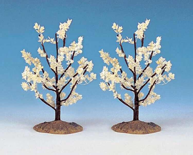 Flowering Magnolia Small