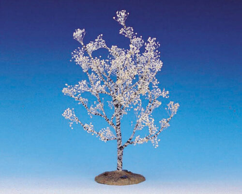 Flowering Dogwood Large