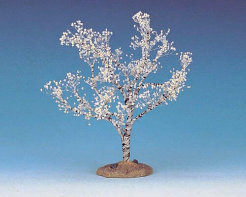 Flowering Dogwood Medium