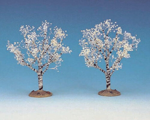 Flowering Dogwood Small