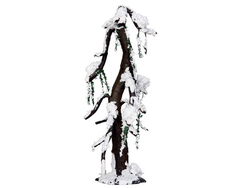 Winter Cypress Tree Large