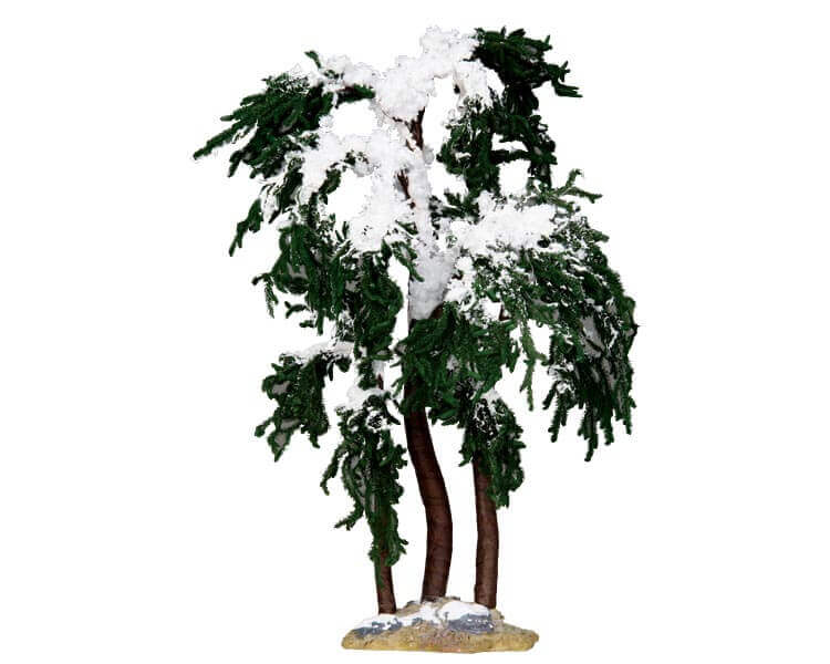 Snowy Mulberry Tree Large