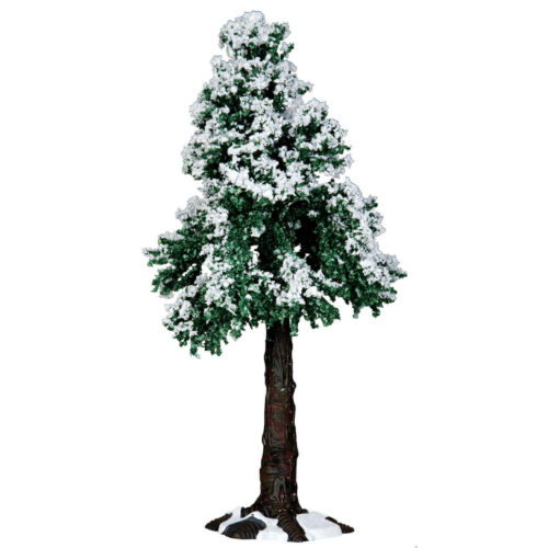 Winter Redwood Tree