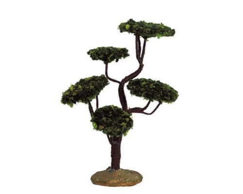 Cypress Medium