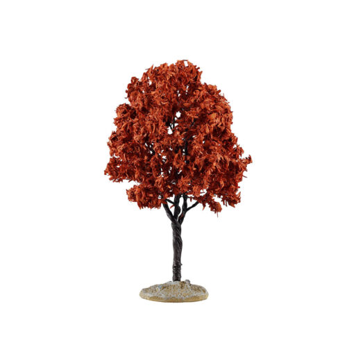 Baldcypress Tree Medium