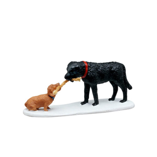 "Who‘s Pulling Who?"