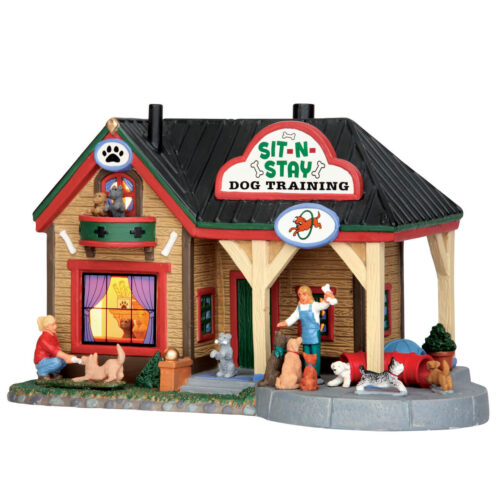 Sit-N-Stay Dog Training