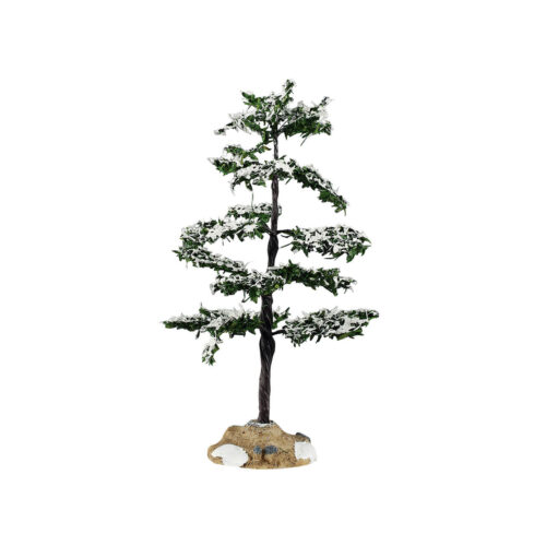 Conifer Tree