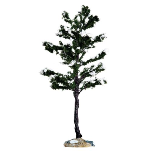 Conifer Tree