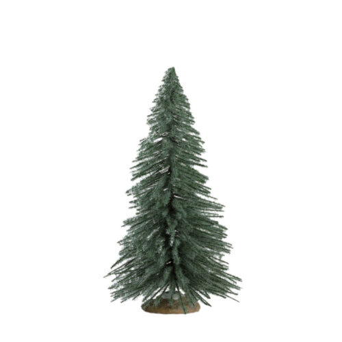 Spruce Tree