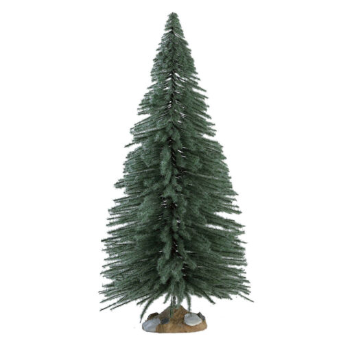 Spruce Tree