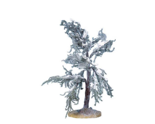 Douglas Fir Tree Medium