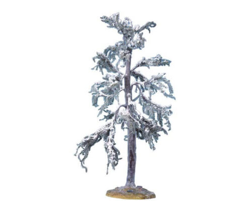 Douglas Fir Tree Large